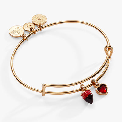 Chocolate-Covered Strawberry Duo Charm Bangle