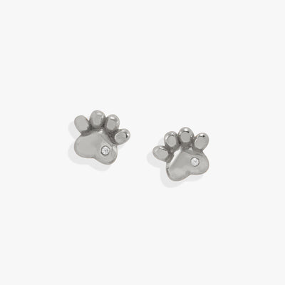 Paw Print Mini Stud Earrings