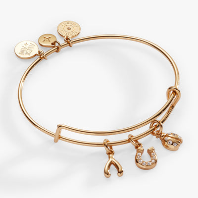 Love and Luck Multi-Charm Bangle