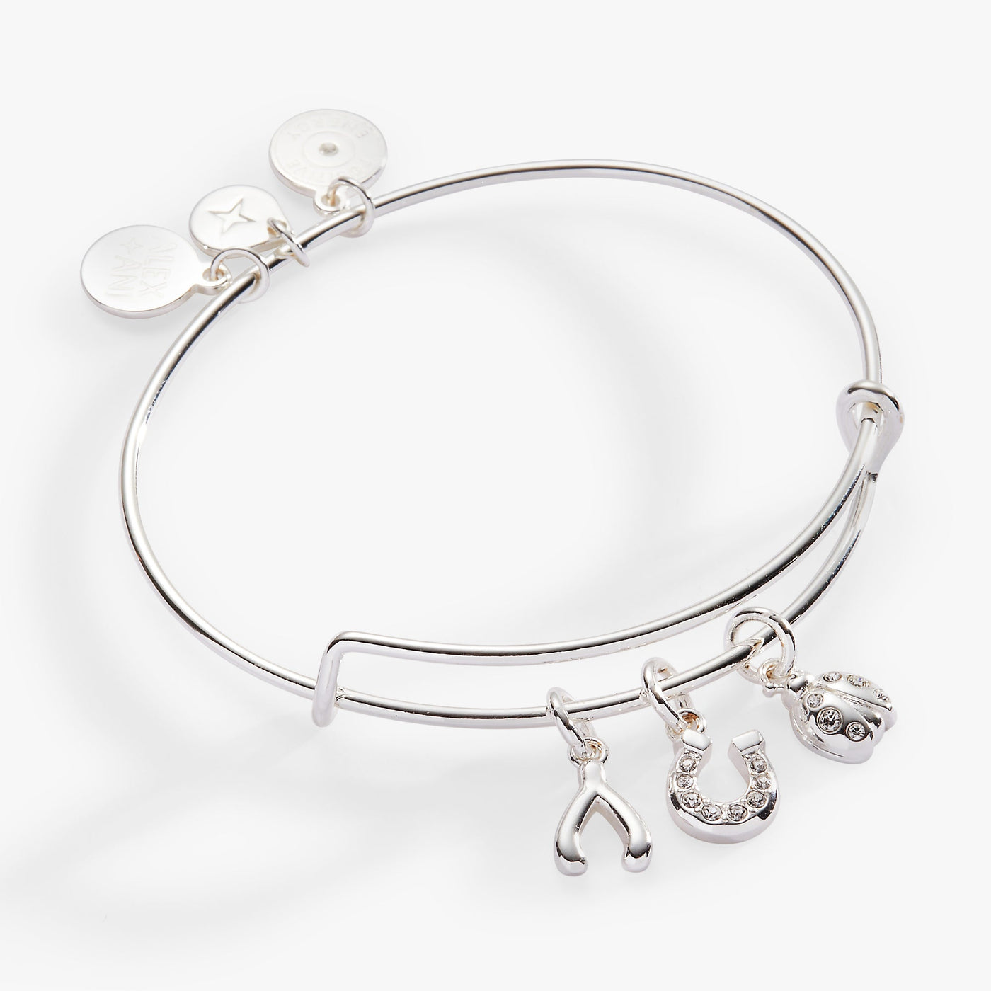 Love and Luck Multi-Charm Bangle