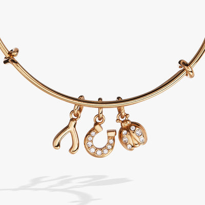 Love and Luck Multi-Charm Bangle