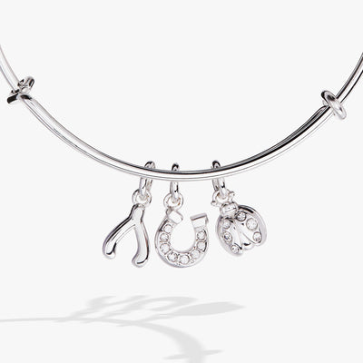 Love and Luck Multi-Charm Bangle