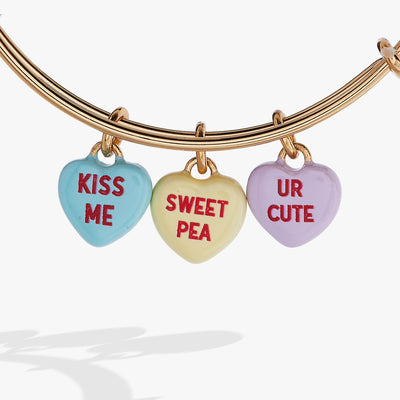 Sweethearts® Multi-Heart Charm Bangle